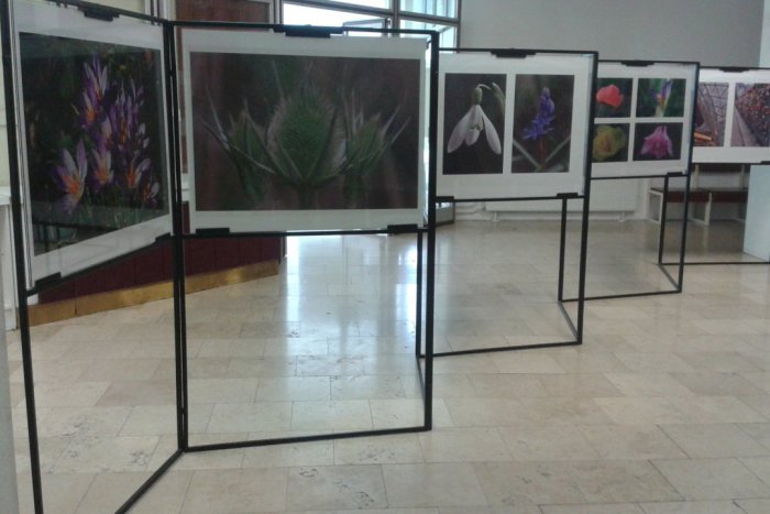 Ilustračný obrázok k článku ROZHOVOR: Emil (60) nefotil kvôli problémom s očami 30 rokov, všetko zmenila operácia