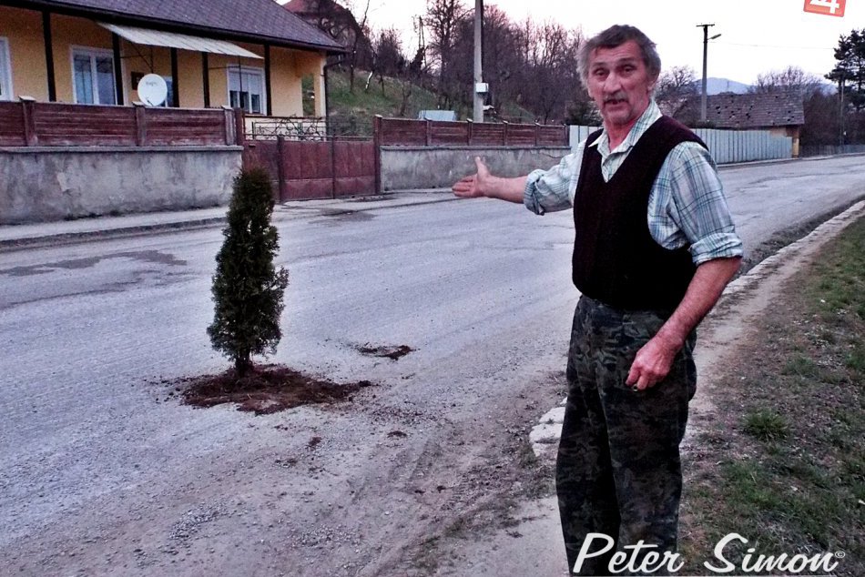 Ilustračný obrázok k článku Pán Karol vysadil strom priamo na cestu: Recesia a varovný signál pre vodičov