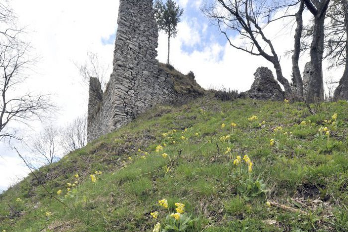 Ilustračný obrázok k článku Jar cítiť z každého kúta: Jej symboly lákajú pohľady