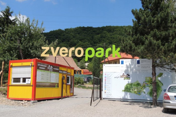 Ilustračný obrázok k článku Toto tu nebolo už 300 rokov: V našom regióne sa narodilo vzácne zvieratko! FOTO