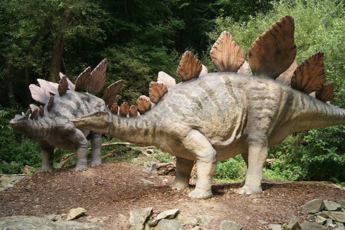 Ilustračný obrázok k článku Novinky v DinoParku: Deti čaká skúška odvahy!