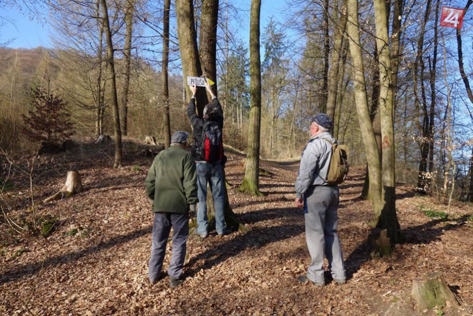 Ilustračný obrázok k článku Unikátne objavy neďaleko Zvolena. Na hrade Peťuša našli budovu aj bronzový prsteň