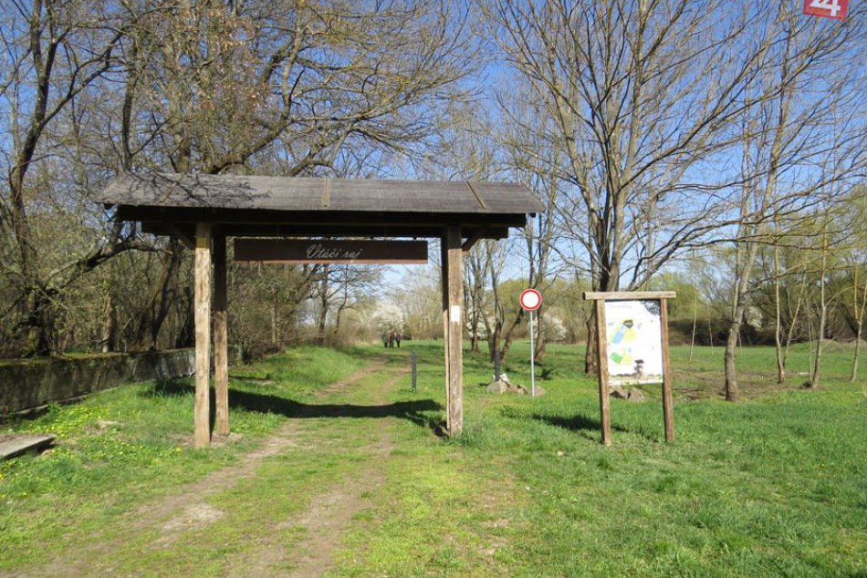 Ilustračný obrázok k článku Zažite úchvatné prírodné divadlo na Zemplíne: Pripravený je k tomu atraktívny program!