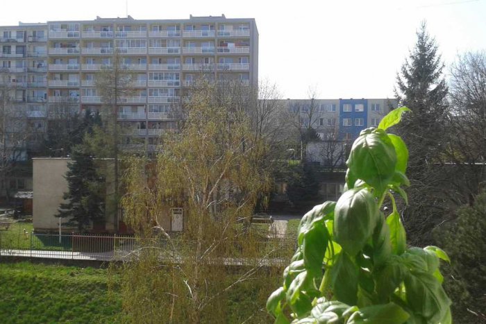 Ilustračný obrázok k článku Z čižiem rovno do plaviek?  Janka sa pozrela na teplomer a nechápala, FOTO vnútri