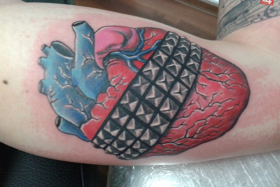 Ilustračný obrázok k článku V rámci projektu deti zo základných škôl, ktoré sú
v zriaďovateľskej 