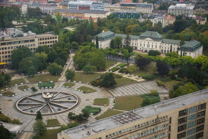 Ilustračný obrázok k článku Pred Námestím slobody obnovia alej stromov