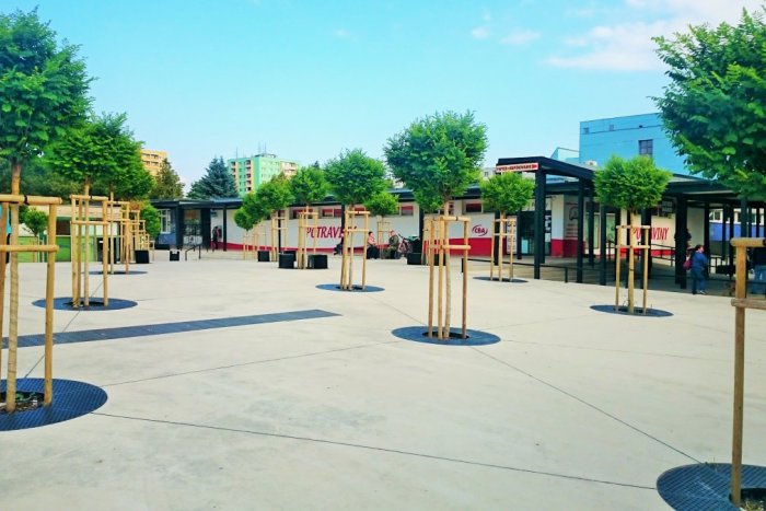 Ilustračný obrázok k článku Zachytili ste ich? 3 témy z Prešova, ktoré upútali najväčšiu pozornosť