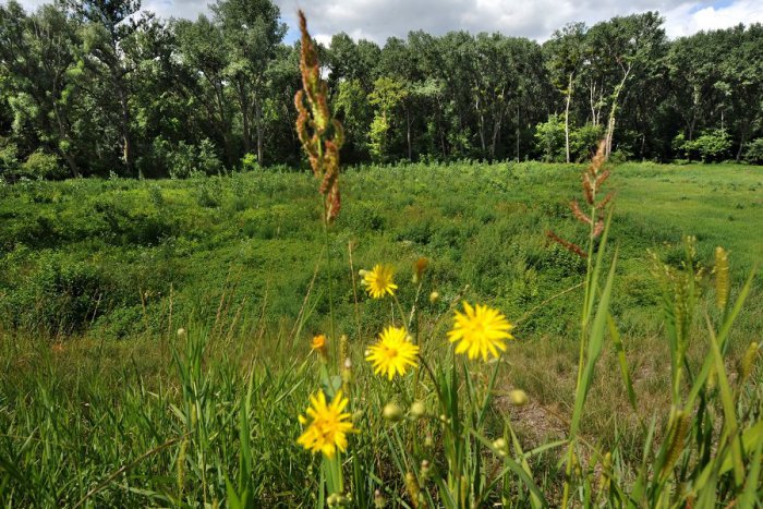 Ilustračný obrázok k článku Občianski aktivisti spúšťajú petíciu za ochranu ostrova Sihoť