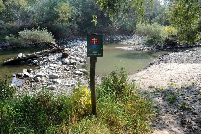 Ilustračný obrázok k článku Karlova ves žiada o zastavenie masívneho výrubu stromov na Sihoti i pod Kráľovou horou