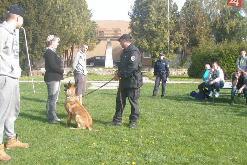 Ilustračný obrázok k článku Novozámockí policajti pozývajú: V meste sa uskutoční kynologická súťaž