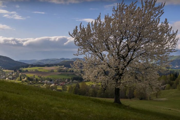 Ilustračný obrázok k článku V Bystrici predstavili unikátnu knihu. Je sondou do života na Podpoľani v 19. storočí
