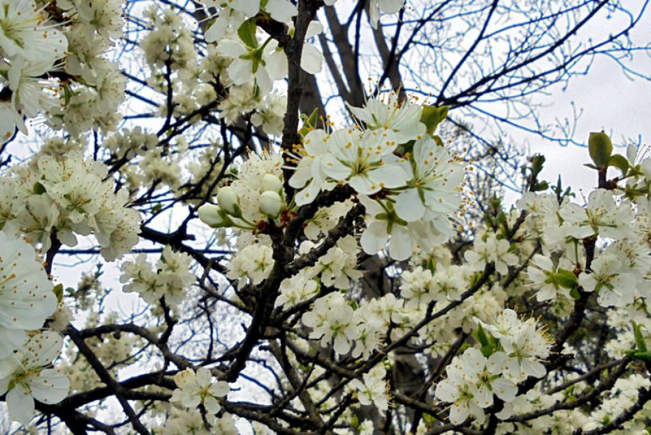 Ilustračný obrázok k článku Jarný oddych v našom okolí, ktorý vám dobije baterky: 4 miesta pri Žiline, kde si prídete na svoje