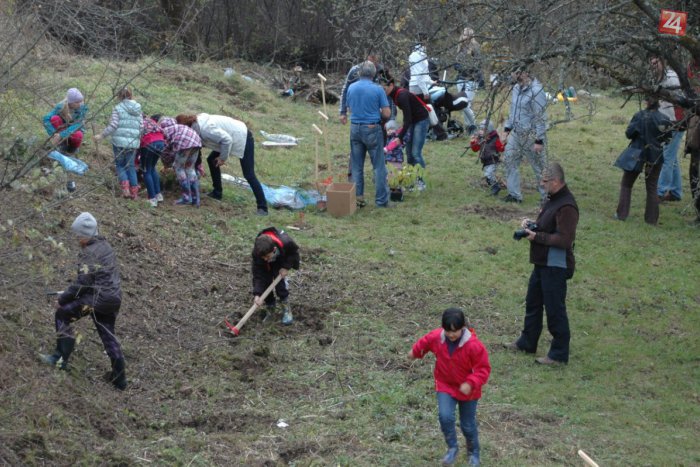 Ilustračný obrázok k článku Aj tento rok môžete zasadiť svojmu dieťatku strom: Skvelý nápad práve pre vás