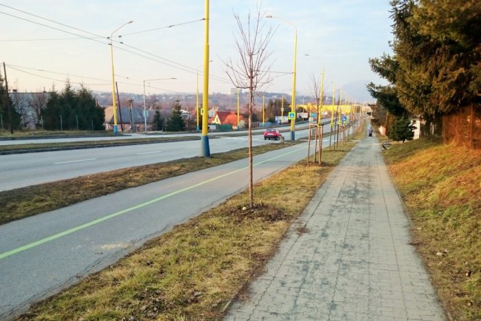 Ilustračný obrázok k článku Bicykle v Prešove vyťahujeme vo veľkom: Cyklisti, táto zmena na Lesníckej vás však nepoteší! FOTO