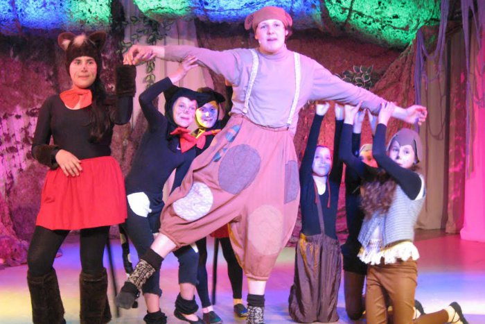 Ilustračný obrázok k článku Zachráni smelá Hanka svojich zakliatych bratov?