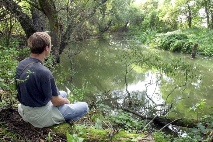 Ilustračný obrázok k článku Rakúsky národný park Dunajské luhy organizuje slovenské dni
