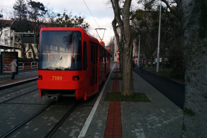 Ilustračný obrázok k článku Zdravý rozum zvíťazil? Stromy na zastávke Žilinská sa podarilo zachrániť