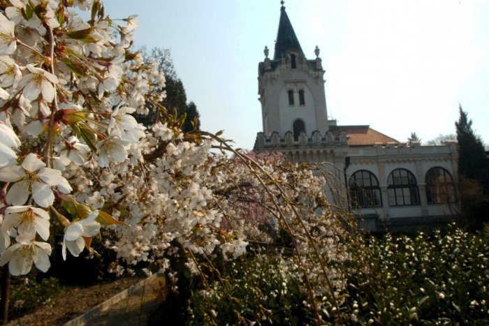 Ilustračný obrázok k článku Šikovný prehľad na rok 2018: Arborétum pripravuje množstvo skvelých podujatí