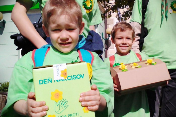 Ilustračný obrázok k článku Slovensko sa zapája do zbierky Deň narcisov: Prispieva do nej až tretina ľudí