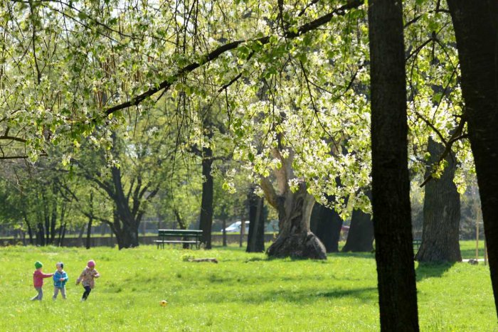 Ilustračný obrázok k článku Kosenie v Rožňave: Ako prebieha a koľko eur naň ročne poputuje?