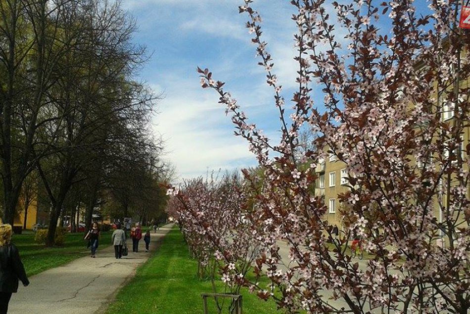 Ilustračný obrázok k článku S novým mesiacom nuda v Brezne nehrozí. Prehľad TOP 10 májových podujatí