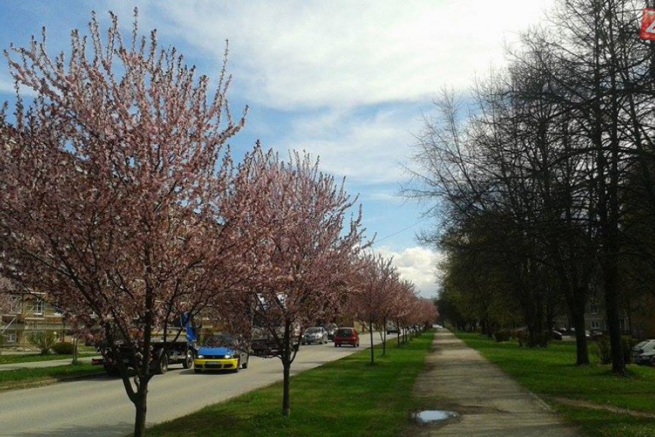 Ilustračný obrázok k článku Čo ponúka víkend na prelome mesiacov? 10 tipov na trávenie voľných dní v Brezne