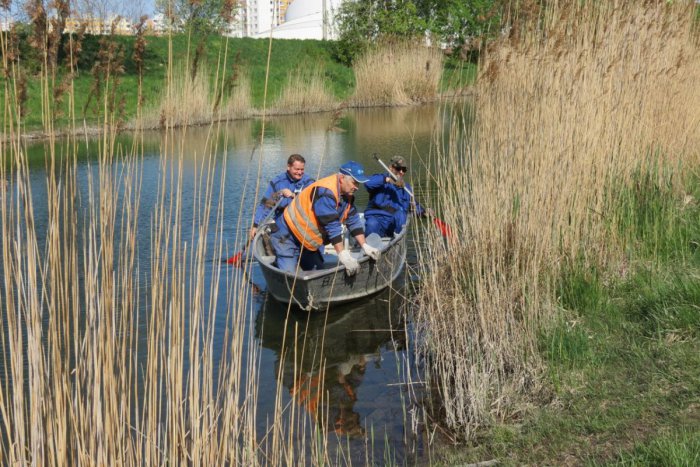 Ilustračný obrázok k článku Týždeň čistoty v Petržalke: Jubilejný 20. ročník Čistenia Chorvátskeho ramena bude na Deň Zeme