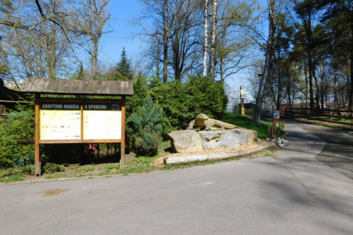 Ilustračný obrázok k článku Malé prírastky v spišskonovoveskej zoo: Dvojičky slávnostne pokrstili a dostali aj zaujímavé mená