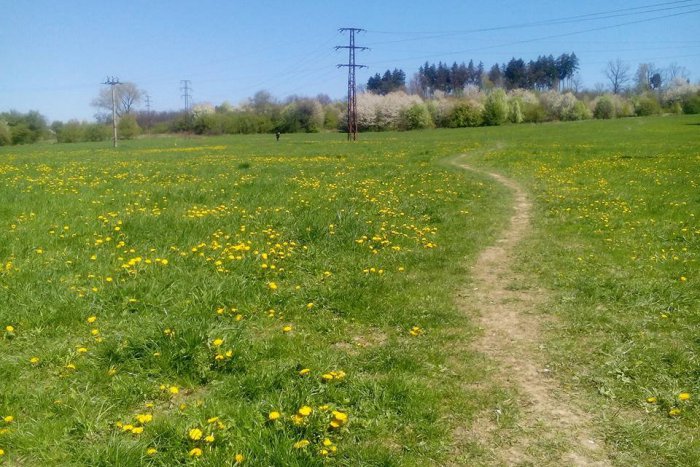 Ilustračný obrázok k článku Solinky na pretrase v mestskom parlamente: Lúka alebo športový areál, hlasovanie je otvorené