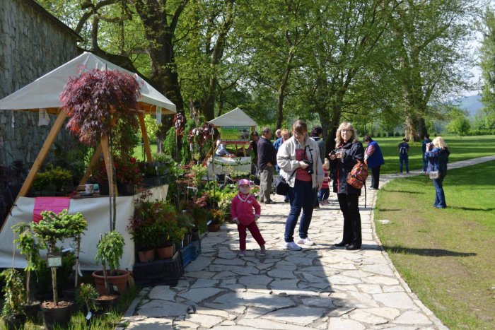 Ilustračný obrázok k článku Jarná krása v Žiline, čo nás čaká? Chuťovka určená nielen pre záhradkárov a pestovateľov