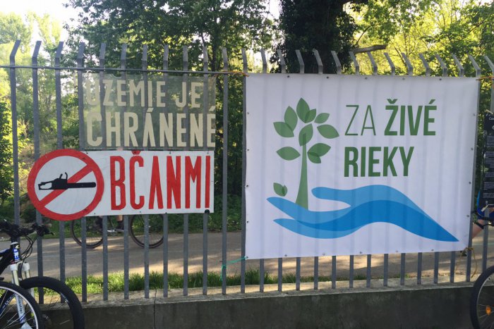 Ilustračný obrázok k článku Ľudia prišli chrániť lesy vlastnými telami