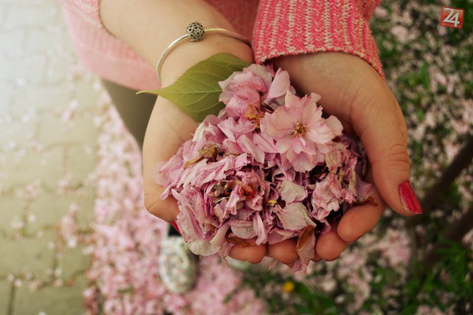 Ilustračný obrázok k článku Najkrajší mesiac v Žiari s bohatou ponukou podujatí: 10 akcií, na ktorých by ste nemali chýbať!