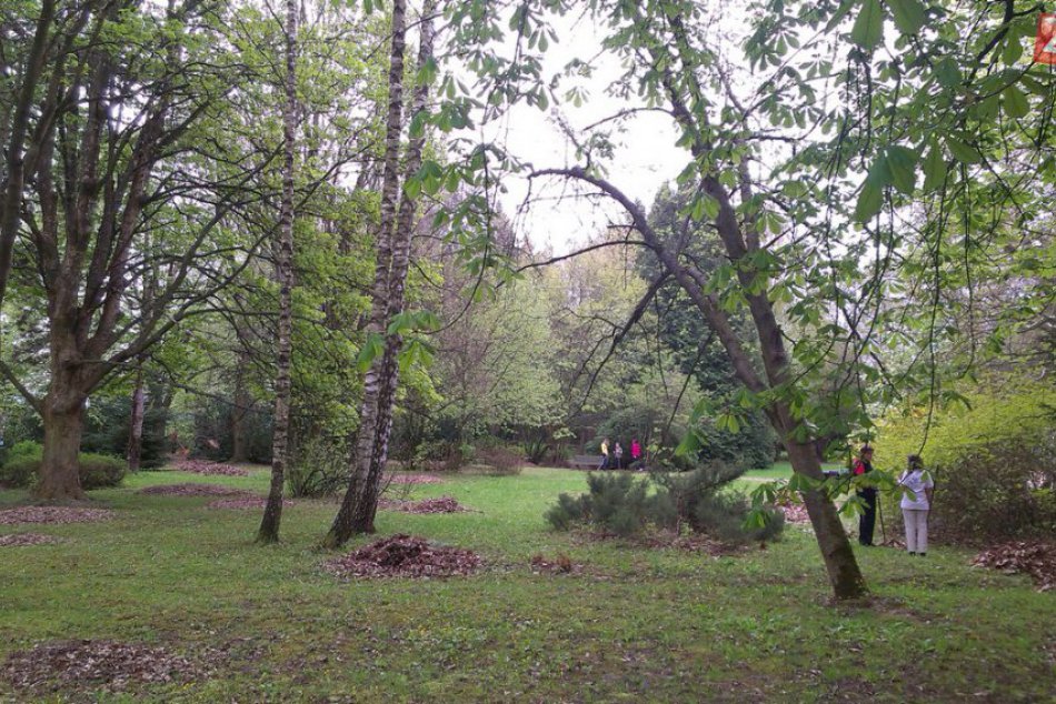 Ilustračný obrázok k článku Čo prinesie jarný víkend v Martine? Pestrý výber tipov na voľné dni na jedinom mieste