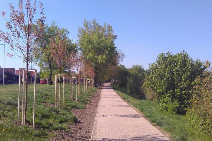 Ilustračný obrázok k článku Vrakuňa má vynovenú promenádu pri Malom Dunaji