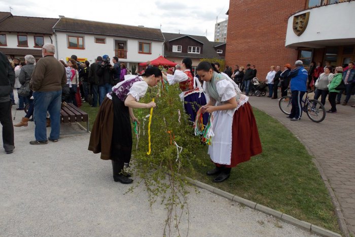 Ilustračný obrázok k článku Neďaleko Spišskej opäť ožijú tradície: Blíži sa stavanie mája
