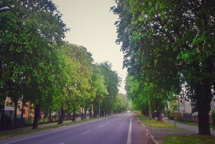 Ilustračný obrázok k článku Voľby v Strážskom? Pozrite si, kto všetko sa tam uchádza o funkciu primátora