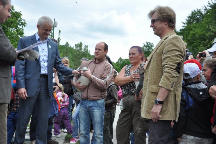 Ilustračný obrázok k článku Terasa sa popýši vlastným maskotom: Jej tvárou sa stane veľký rozprávkový Terasáčik!