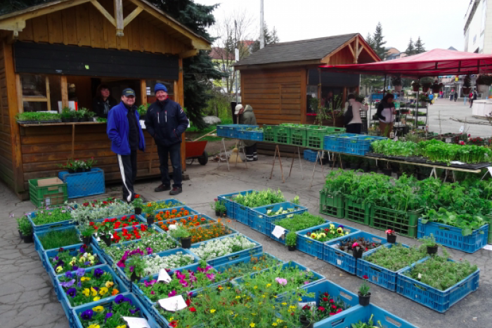 Ilustračný obrázok k článku Trhovisko vedľa Domu služieb uzavreli: Kde ho po novom môžeme hľadať?