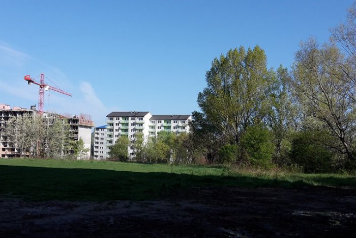 Ilustračný obrázok k článku Dúbravčania máte otázky k výstavbe náhradných bytov? Príďte debatovať