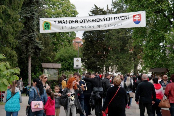 Ilustračný obrázok k článku Jedna z top akcií nášho regiónu sa blíži: Národný žrebčín otvorí svoje brány