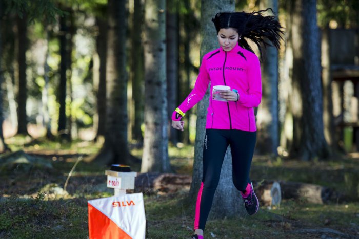 Ilustračný obrázok k článku Akcia, akú v bystrickom parku ešte nezažili: Labyrint aj pokus o prispenie k svetovému rekordu!