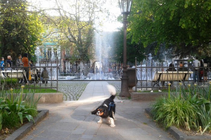 Ilustračný obrázok k článku Neseďte len doma: Akcie v Košiciach TU