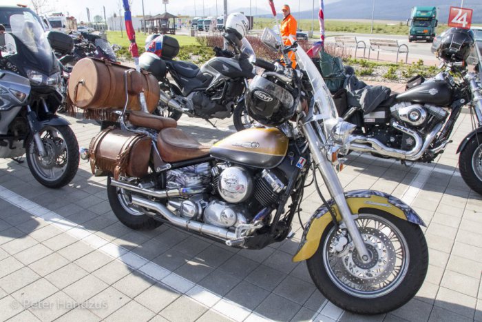 Ilustračný obrázok k článku Noční vlci pod Tatrami: Na Slovensku zatiaľ bez problémov