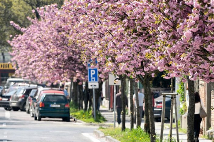 Ilustračný obrázok k článku RANNÁ ŠTVORKA: Tešme sa, v piatok bude teplejšie a menej zrážok