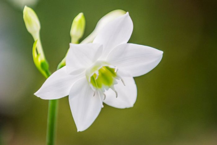 Ilustračný obrázok k článku RANNÁ ŠTVORKA: Aké počasie nám nový týždeň prinesie?