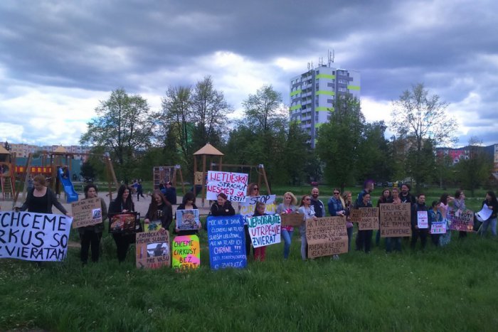 Ilustračný obrázok k článku V Spišskej Novej Vsi bolo poriadne rušno: Protest proti cirkusu!