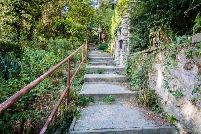 Ilustračný obrázok k článku Dobrovoľníci dnes zrevitalizujú schody na Strmej ceste