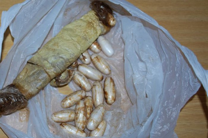 Ilustračný obrázok k článku Svet o Slovensku: Vraj musela pašovať kokaín, aby jej syn mohol chodiť do školy