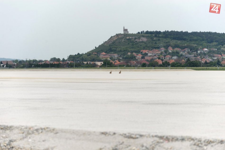 Ilustračný obrázok k článku AKTUÁLNE FOTO: Práce na stavenisku napredujú, prvé dohady o príchode Jaguaru začali pred rokom