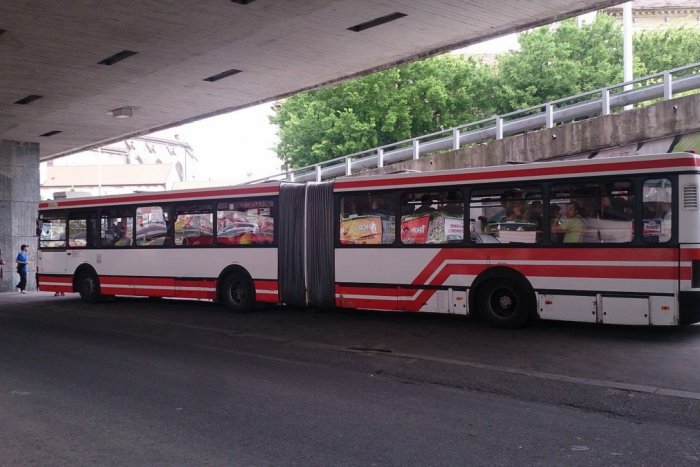 Ilustračný obrázok k článku OBRAZOM: Rozlúčili sme sa s historickou harmonikou